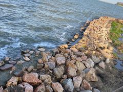 -上海滴水湖皇冠假日酒店