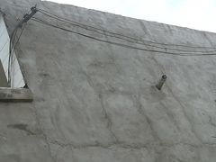 -魏家凉皮(科技三路店)