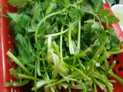 香菜-来自潮州牛肉店(华强北店)