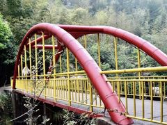 -黄山翡翠谷景区