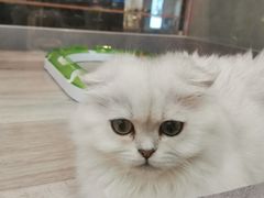 -中海环宇荟