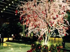 iphone_upload_pic-苏州金鸡湖中茵皇冠假日酒店