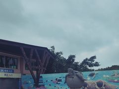 -广东惠东海龟国家级自然保护区