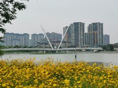 -映月湖中央公园