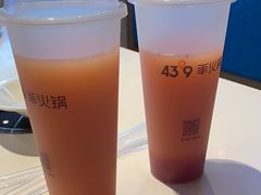 -蒙都43°9羊火锅·赤峰美食(桥北店)