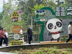 -中国大熊猫保护研究中心雅安碧峰峡基地