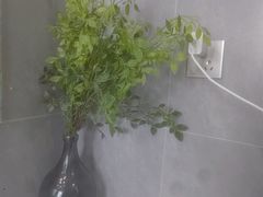 -唐宫足道·SPA·住宿24H会所(木渎店)