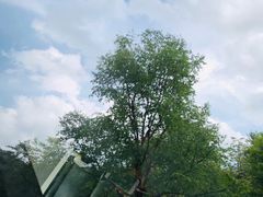 -秦岭风景区