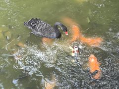 -珠海圆明新园