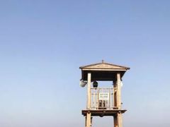 -渡海小渔村.老辈日照菜