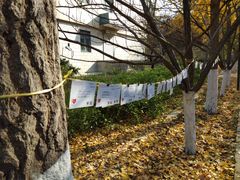 -山东师范大学(千佛山校区)