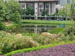 -花果园湿地公园