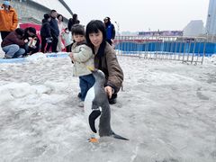 -沈阳奥体冰雪嘉年华