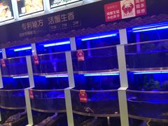 水产区-七欣天(浦东羽山乐坊店)