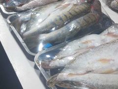 -新疆风味冷水鱼庄(友谊峰路店)