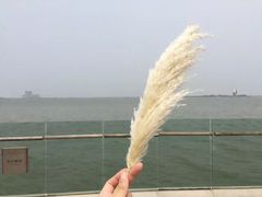 -上海滴水湖皇冠假日酒店