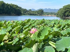 -印象西湖·最忆是杭州实景演出