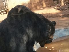 -昆明动物园