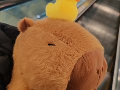 -半天妖烤鱼(东方新天地店)