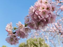 -东湖磨山景区