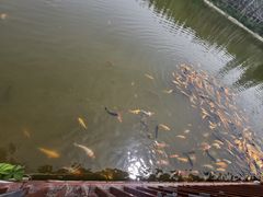 -郑州方特梦幻王国