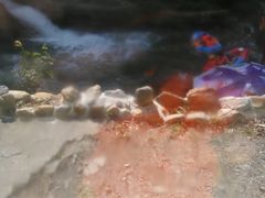 -将军关探险漂流