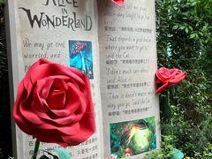 -正佳雨林生态植物园