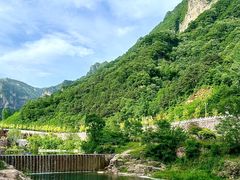 -王莽岭风景区