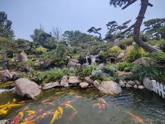 -罗红摄影艺术馆