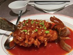 -九里云松·天香餐厅