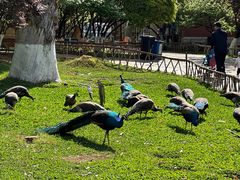 -昆明动物园