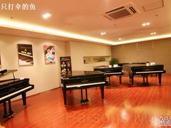 -柏斯音乐艺术中心·钢琴·吉他(上音店)