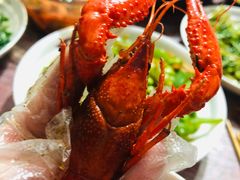 -红盔甲·小龙虾(天钥桥店)
