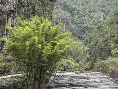 -刘伯温故里景区百丈漈