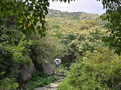 -阳台山自然风景区