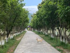 -百万叔(临湖店)