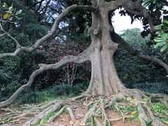 -西湖外事游船(花港观鱼码头)