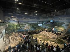 -自贡恐龙博物馆