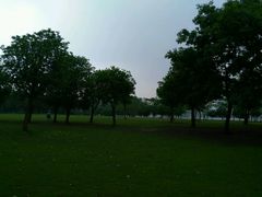 -蠡湖大桥公园