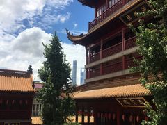 -钦赐仰殿道观