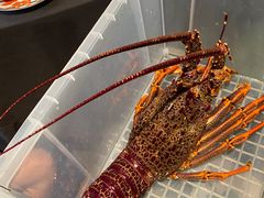 -上海滩餐厅(BFC外滩金融中心店)