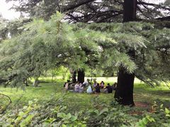 -国家植物园南园