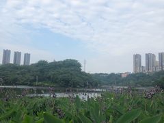 -重庆彩云湖湿地公园