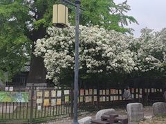 -常熟方塔园