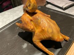 -大鸽饭(体育西路店)