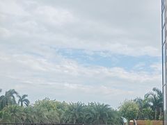 -三亚海棠湾万丽度假酒店