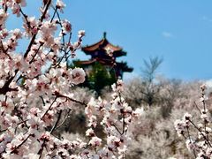 -白水寺森林公园