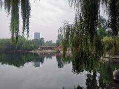 -百脉泉景区