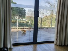 -帐篷客·溪龙茶谷度假酒店