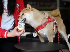-星巴克臻选(北京凤凰汇店)